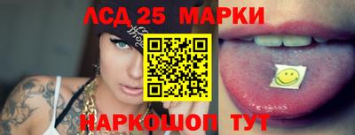 гашик Аргун