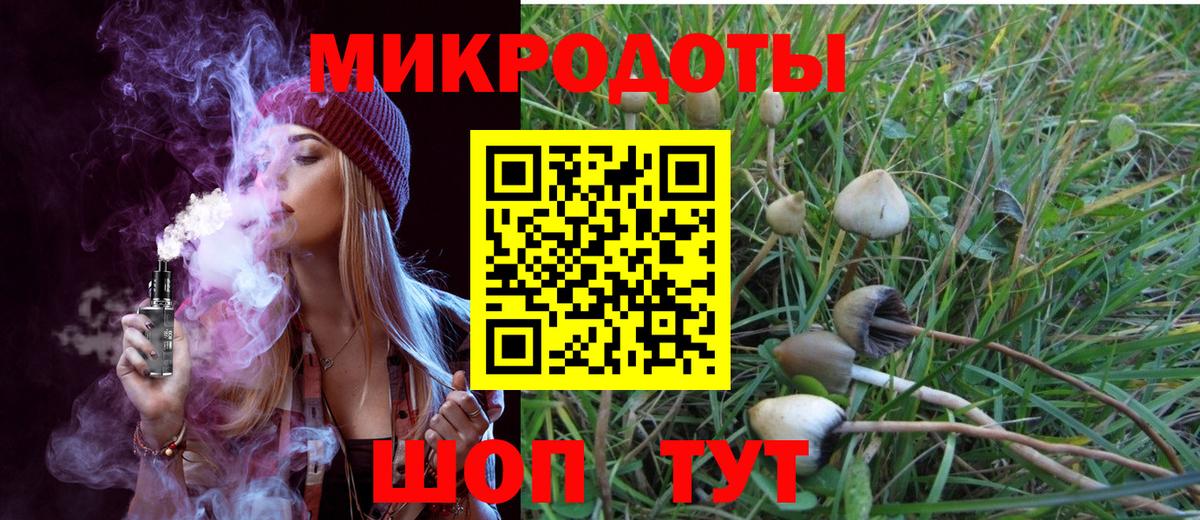 Псилоцибиновые грибы Magic Shrooms Абинск