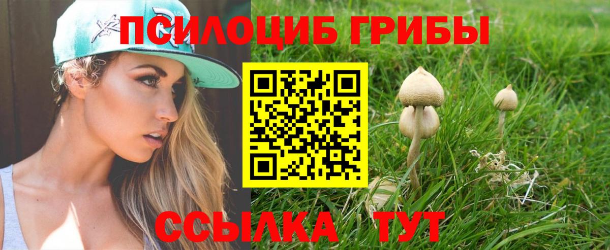 Галлюциногенные грибы Psilocybine cubensis  Галлюциногенные грибы Magic Shrooms  Вход с VPN  Абинск 